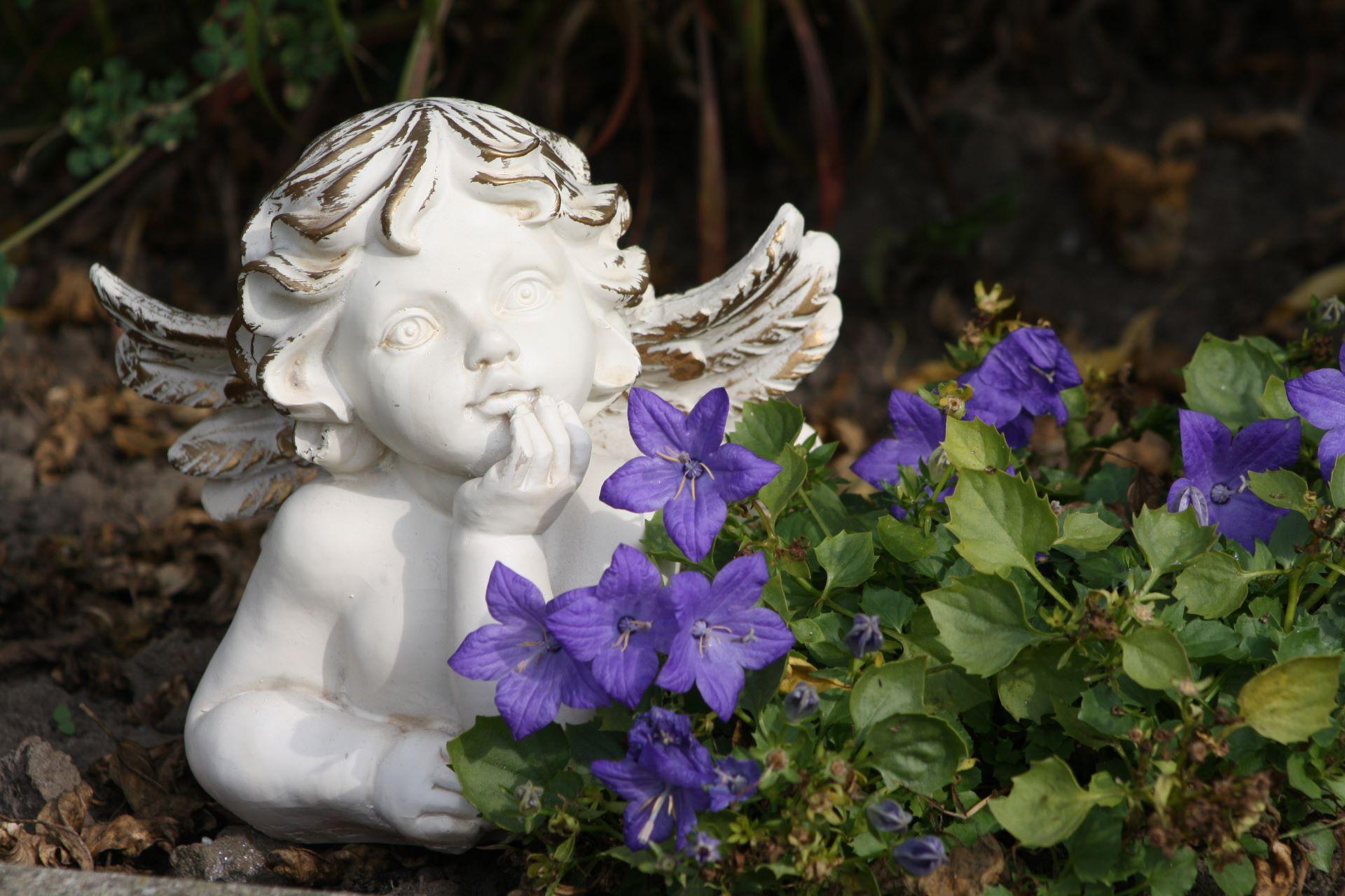 Weißer Gartenengel aus Stein mit nachdenklicher Pose, platziert zwischen violetten Glockenblumen in einem natürlich gestalteten Gartenbeet.