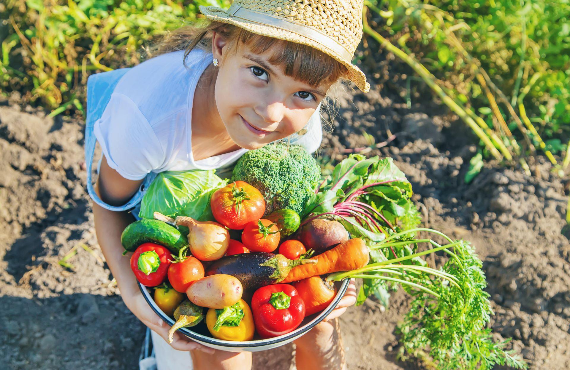 Mädchen im Garten hält eine Schüssel mit frisch geerntetem Gemüse wie Tomaten, Karotten und Zucchini