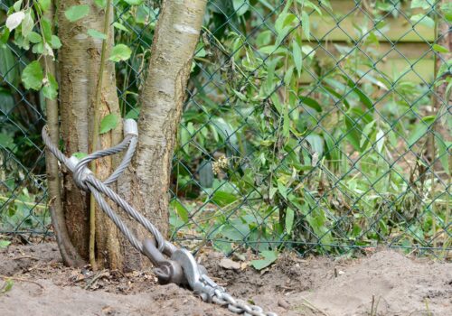 Der starke Helfer im Garten: Was das Arbeiten draußen erleichtert